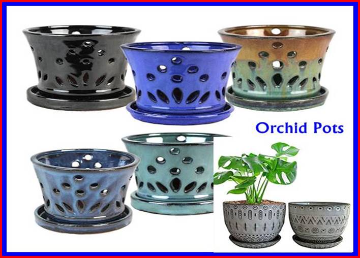 10 Best Orchid Pots & Containers 2024