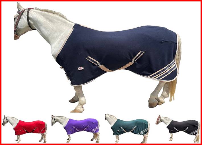 Horse Blanket Girl No Blur Naked climbed inside Jasha Lottin, 2024